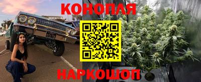 прущая мука Гатчина